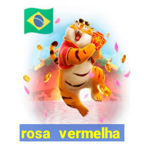 rosa vermelha (letra e cifra)